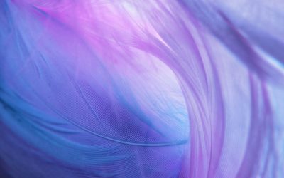 Les Archanges – Discernement