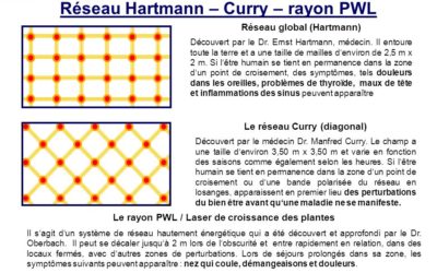 Harmonisation de personnes et de lieux